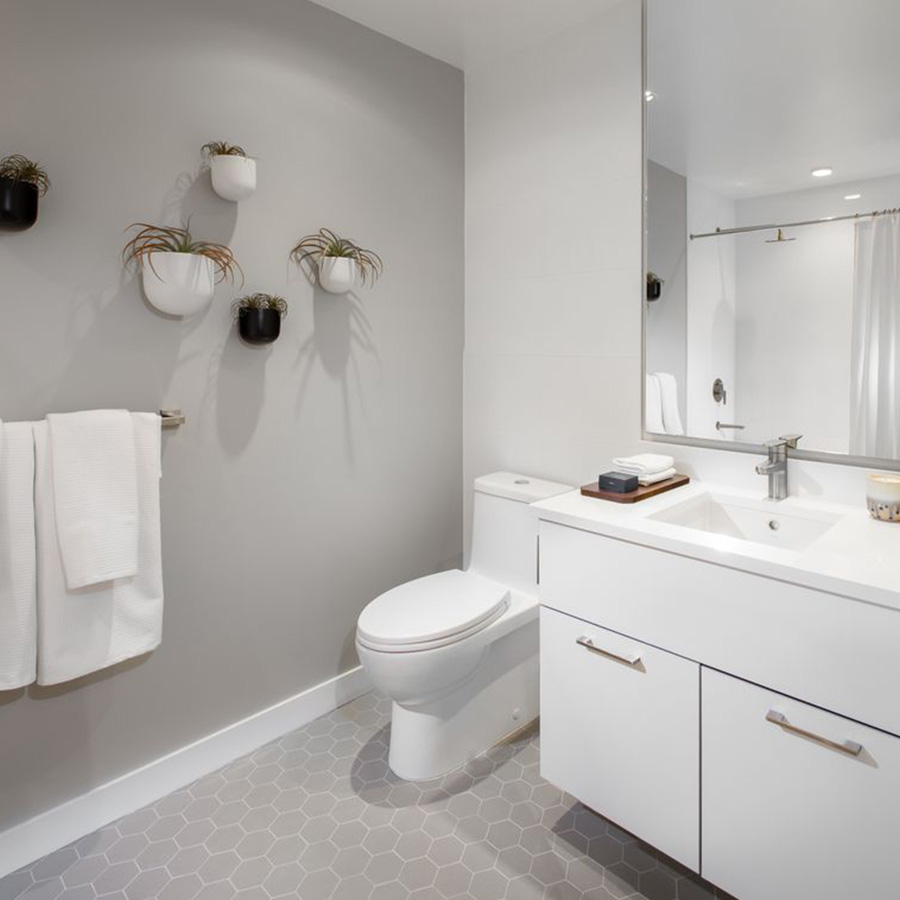 The Five Points Development Project – Caloah Private Equity